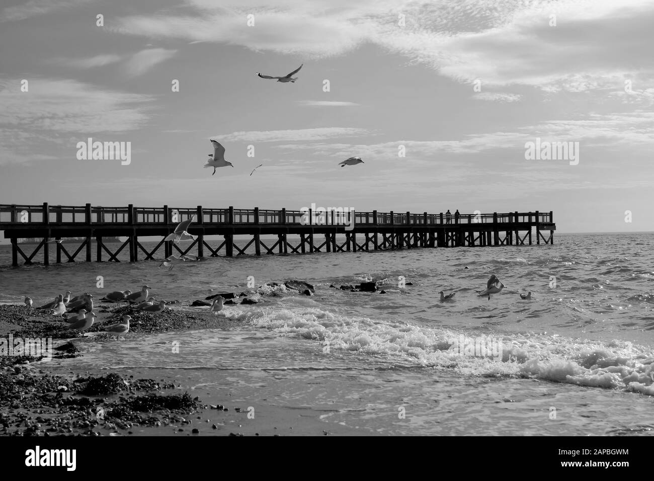 Giornata invernale in bianco e nero sulla spiaggia di Walnut Beach a Milford, Connecticut Foto Stock