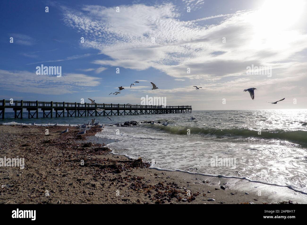 Giornata invernale in bianco e nero sulla spiaggia di Walnut Beach a Milford, Connecticut Foto Stock