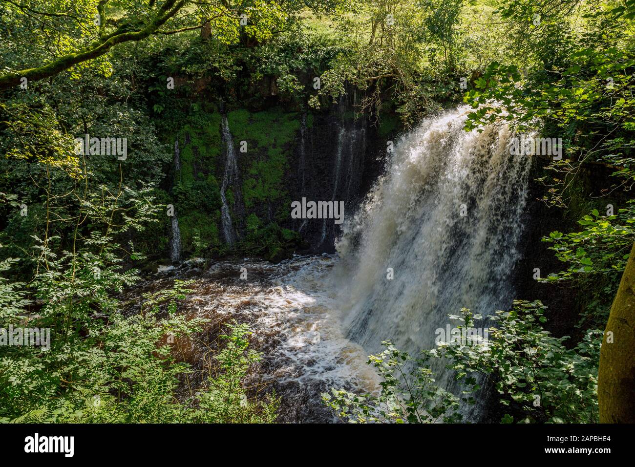 Aysgill Force, Yorkshire Dales National Park Foto Stock