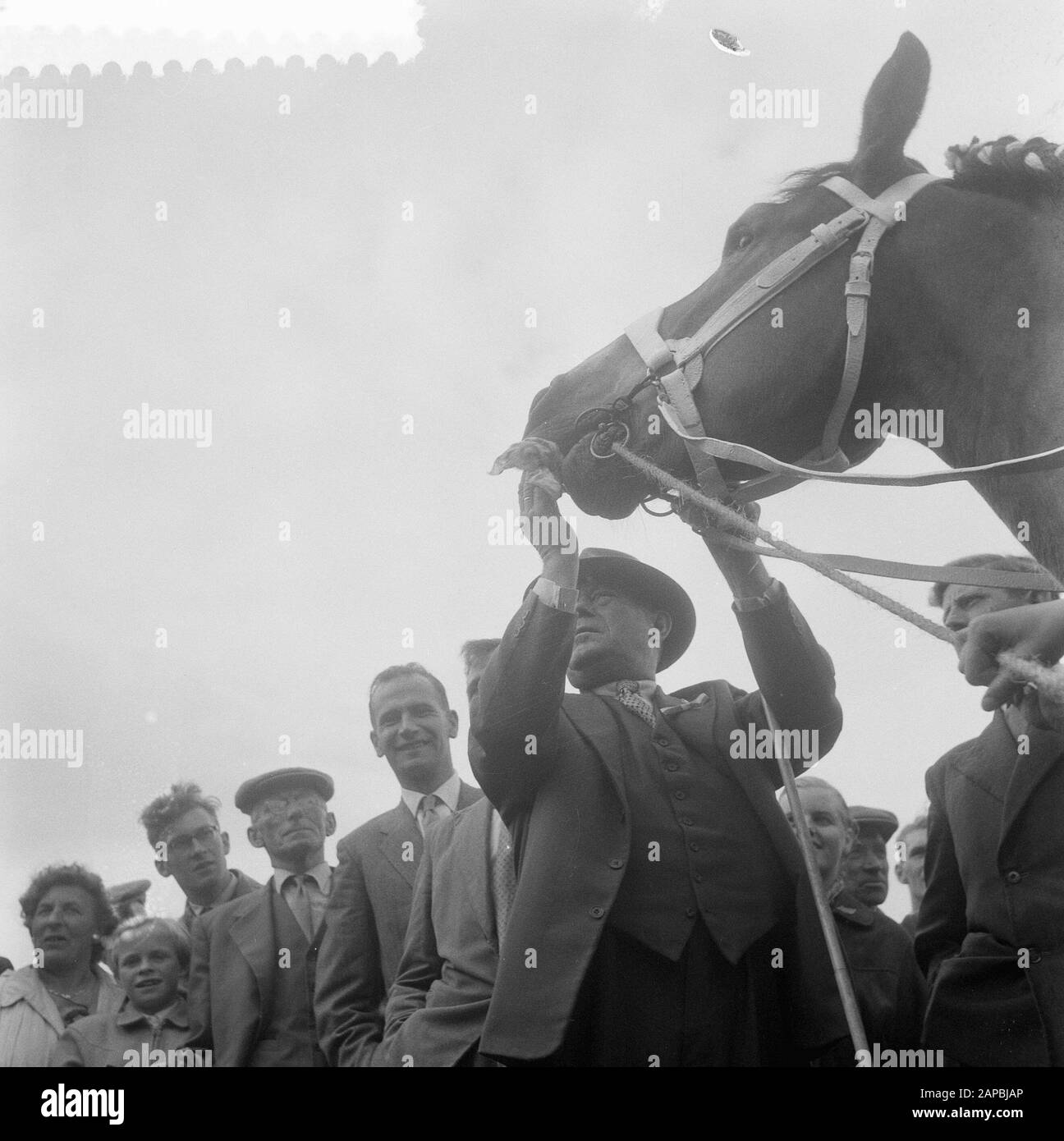 Visita Di Sua Maestà e Beatrix a Markelo Descrizione: Interesse nel premiato cavallo Data: 29 Agosto 1957 Località: Markelo Parole Chiave: Visite reali Foto Stock