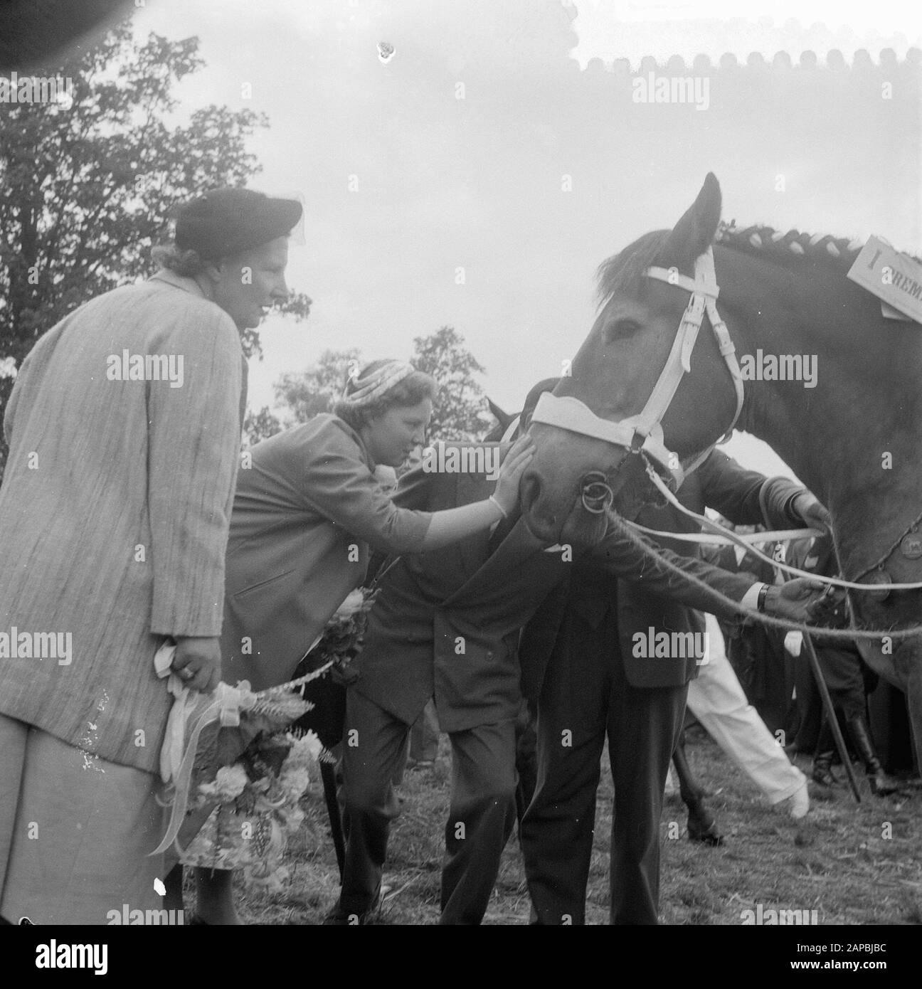 Visita Di sua Maestà e Beatrix a Markelo Descrizione: Interesse della Regina Juliana e della Principessa Beatrix per il premiato cavallo Data: 29 Agosto 1957 Ubicazione: Markelo Parole Chiave: Visite reali Nome personale: Beatrix (principessa Olanda), Juliana (regina Olanda) Foto Stock