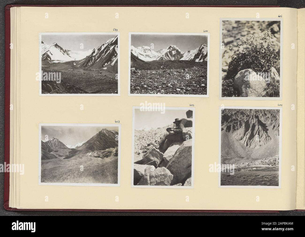 PhotoAlbum Fisherman: First Karakoru Expedition, 1922 Descrizione: Copertina album con sei foto. In alto a sinistra: Vista del piccolo ghiacciaio nella zona sud di Sasir; in alto al centro: La vetta più alta del gruppo Ssir; in alto a destra: Arbusto con fiori vicino al ghiacciaio del Popache meridionale; in basso a sinistra: Jenny Visser-Hooft e Franz Lochmatter sul ghiacciaio del Popache meridionale; in basso al centro: Un piccolo ghiacciaio a sud del ghiacciaio Popache; in basso a destra: La parete settentrionale del Popache-Longma Data: 1922/08/30 luogo: India, Karakorum, Pakistan Parole Chiave: Montagne, fiori, ghiacciai Nome personale: Lochmatter, Franz, Foto Stock