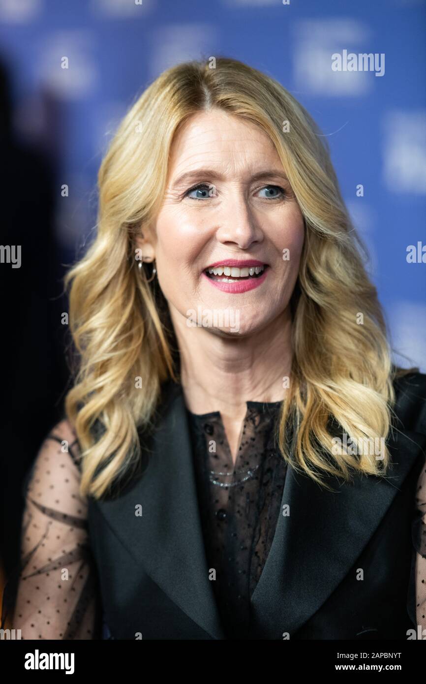 21 gennaio 2020, Santa Barbara, California, USA: Laura DERN al 35th Festival Internazionale del Film di Santa Barbara, California (Credit Image: © Charlie Steffens/ZUMA Wire) Foto Stock