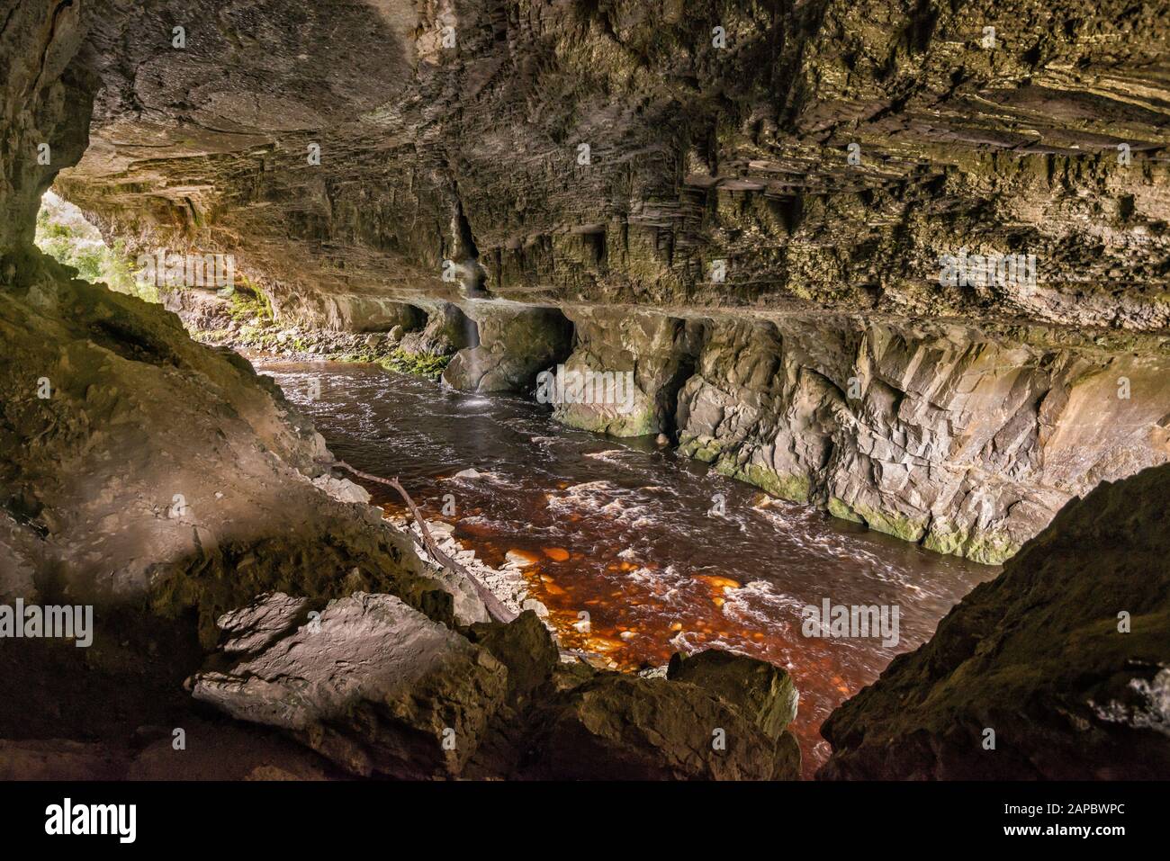 L'Arco di Oparara, il fiume Oparara sottostante ha colorato un marrone rossiccio con tannini naturali, il Parco Nazionale di Kahurangi, la Regione della Costa Occidentale, l'Isola del Sud, la Nuova Zelanda Foto Stock