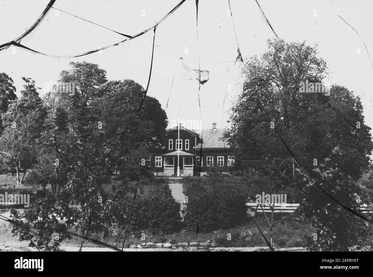 Istituto centrale per l'allevamento di alberi da bosco, ramo di testa Data: Parole Chiave dense: Forestale, estero, terra, clima Foto Stock
