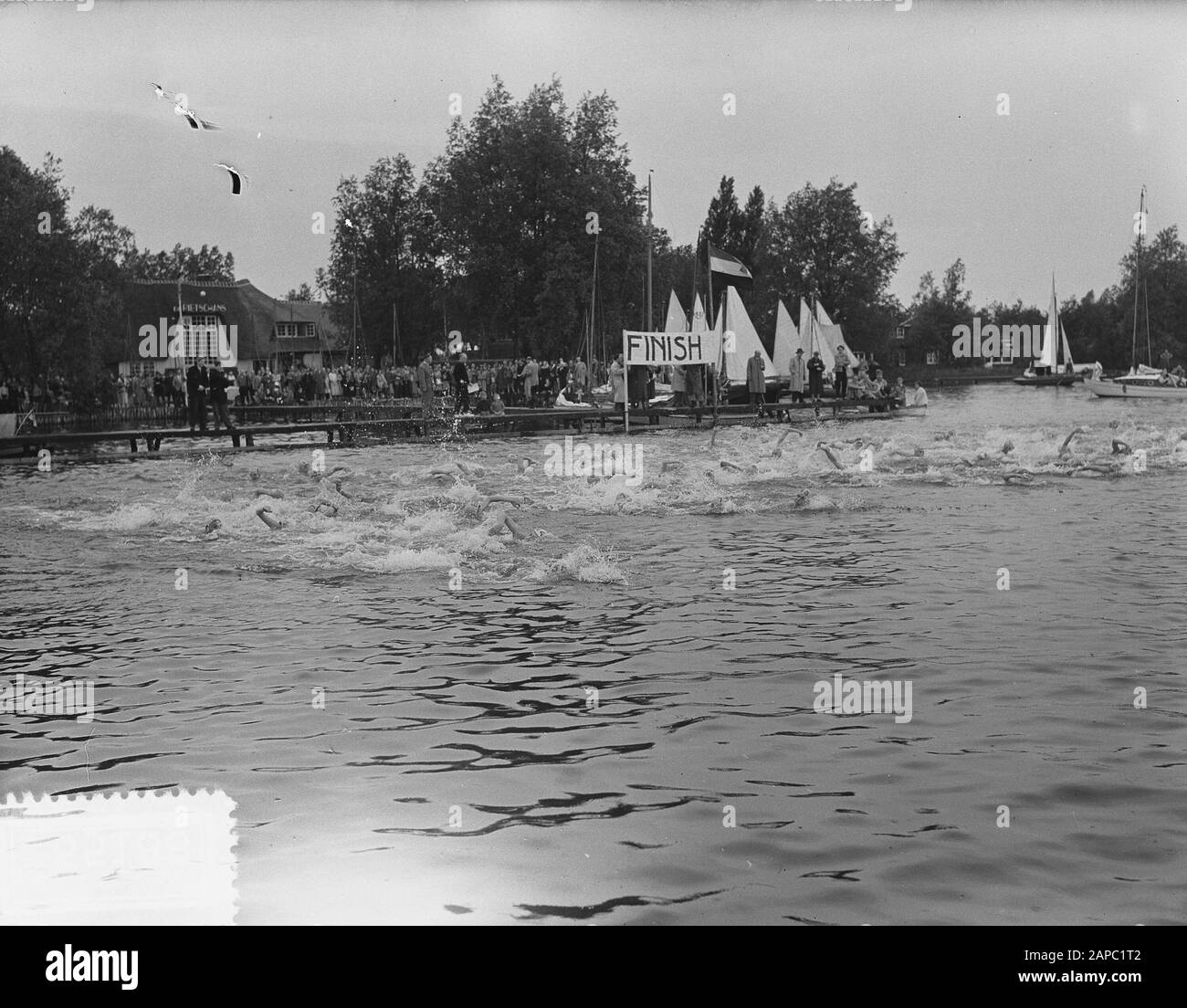 2 km gara di nuoto Loosdrechtsee Plassen, inizio uomini Data: 12 giugno 1954 luogo: Loosdrechtse Laghi Parole Chiave: Nuoto, competizioni di nuoto Foto Stock