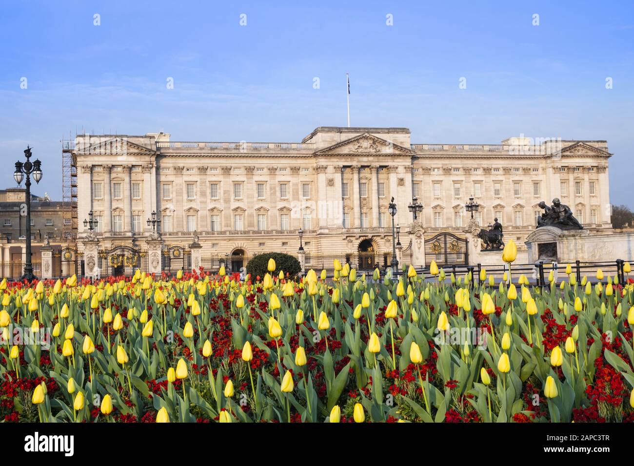 La facciata di Buckingham Palace, residenza ufficiale della Regina d'Inghilterra, Westminster, Londra Foto Stock