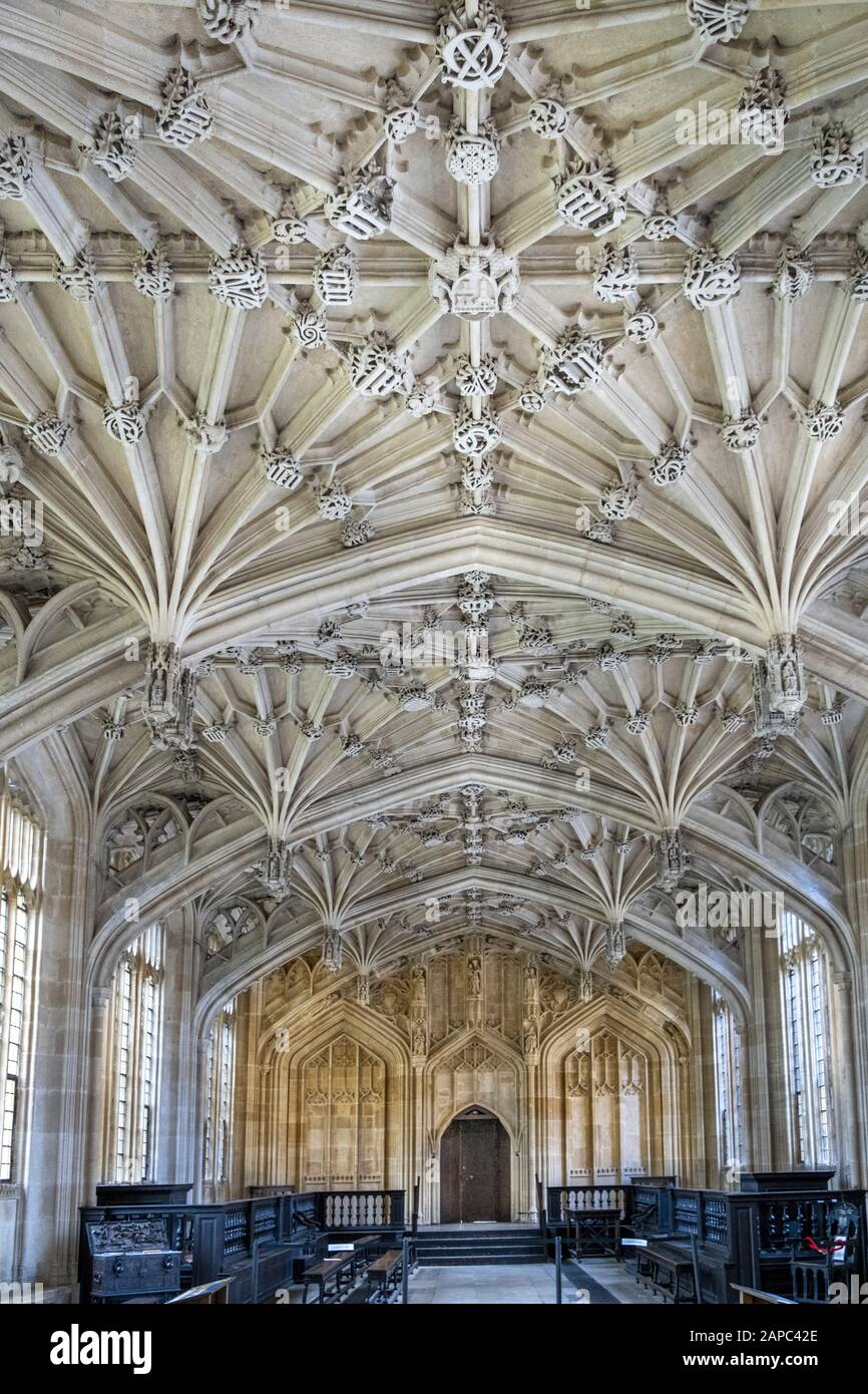 Università di Oxford, soffitto a volta gotico Perpendicolare della scuola di Divinità (Teologia), una location cinematografica nei film di Harry Potter e altri Foto Stock