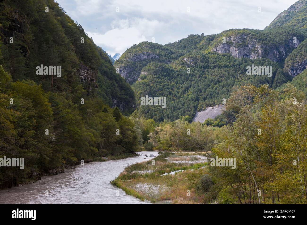 Il Torrente Cordevole a la Muda nelle Dolomiti, provincia di Belluno, Veneto, Italia Foto Stock