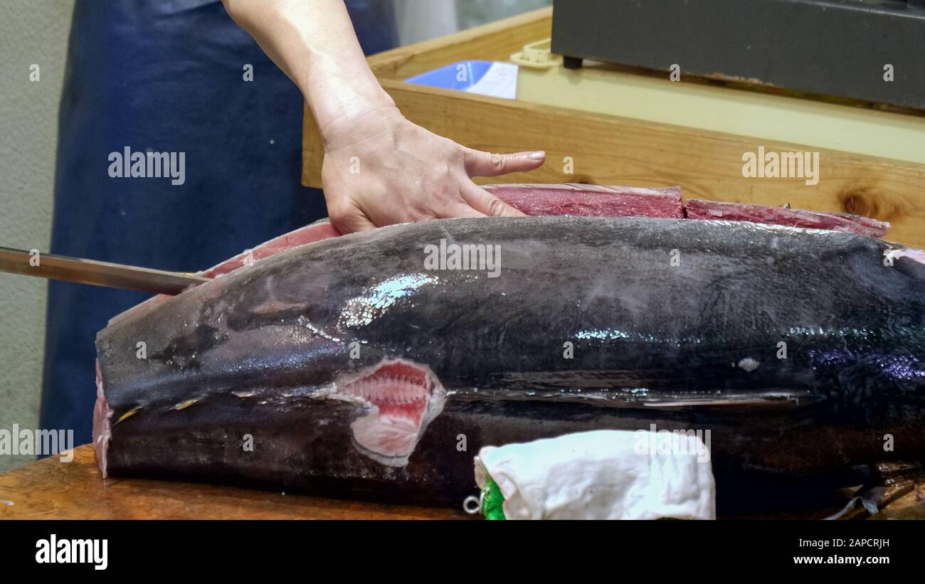 primo piano di un lavoratore un taglio di tonno intero al mercato del pesce di tsukiji a tokyo Foto Stock