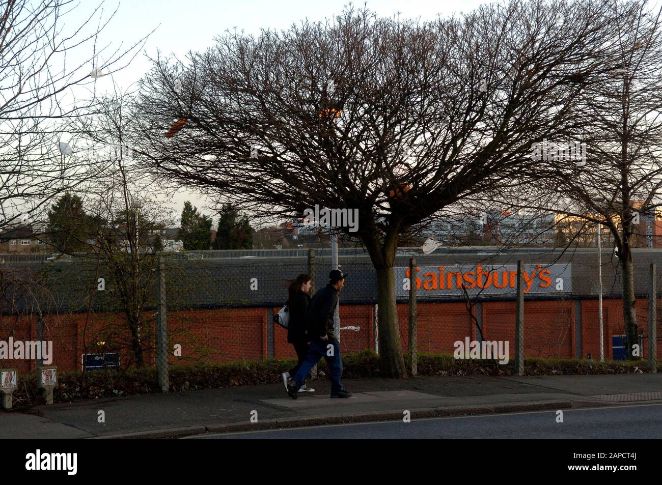 Sacchetti di plastica litterati catturati in un albero d in un supermercato Sainbury a Uxbridge nel 2008 in mezzo a campagne per ridurre la fornitura gratuita di borse usa e getta emesse dai supermercati. Foto Stock