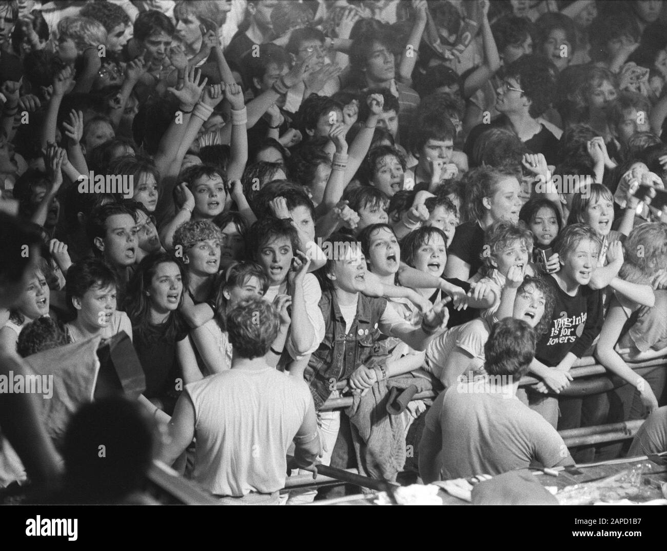Concerto d'addio di Doe Mat a Den Bosch; esuberanti tifosi durante il concerto Data: 14 aprile 1984 luogo: Den Bosch Parole Chiave: Fan, addio, concerti, gruppi pop Foto Stock