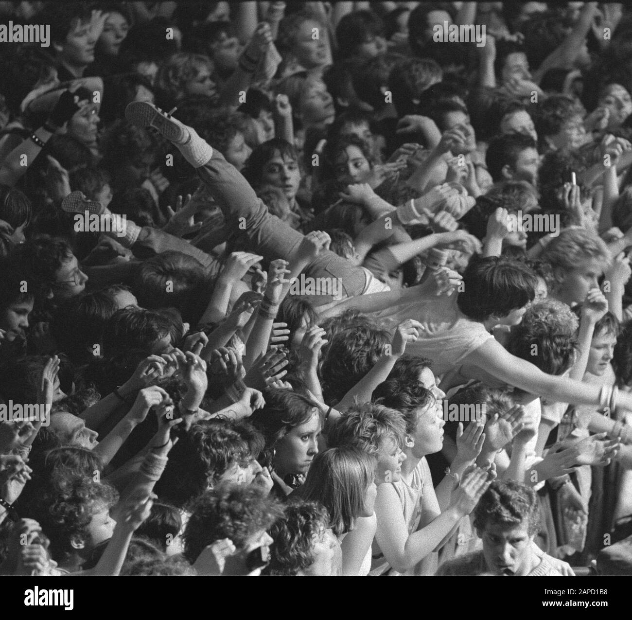 Concerto di addio di Doe Mat a Den Bosch; Fee Fallen fan è passato sopra le teste Data: 14 aprile 1984 luogo: Den Bosch Parole Chiave: Addio, concerti, gruppi pop Foto Stock