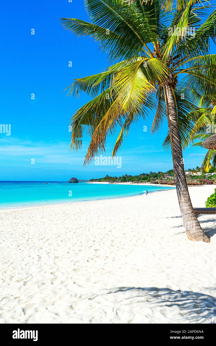 Vista panoramica di una bella giornata di sole sulla spiaggia di sabbia con palme nelle Maldive. Concetto di viaggio tropicale. Foto Stock