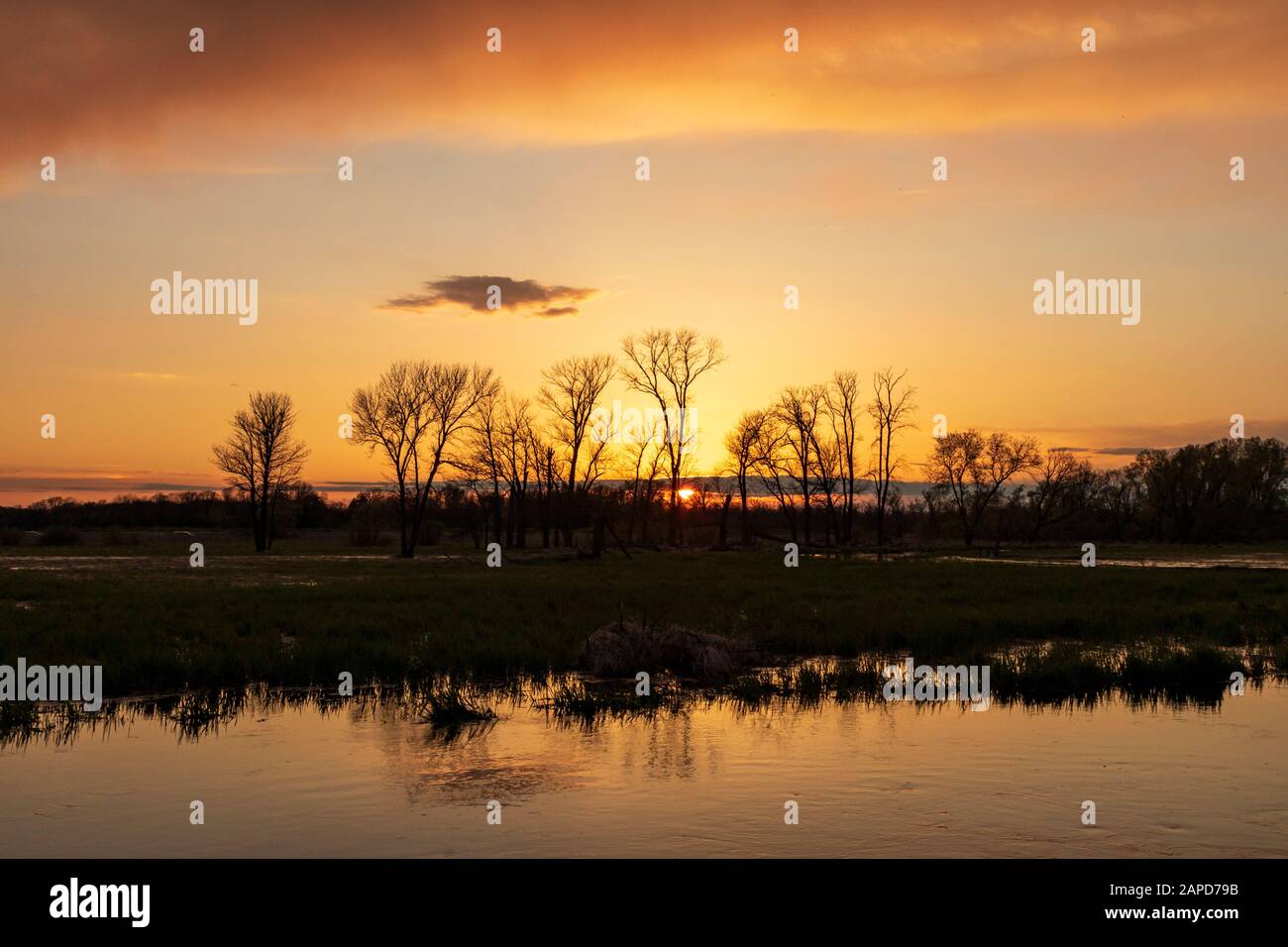 Gli alberi che riflettono nel fiume Fox durante il tramonto a Mitchell Park di Brookfield, Wisconsin durante la primavera Foto Stock