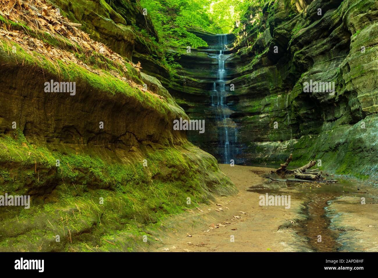 St Louis Canyon Presso Lo Starved Rock State Park Foto Stock
