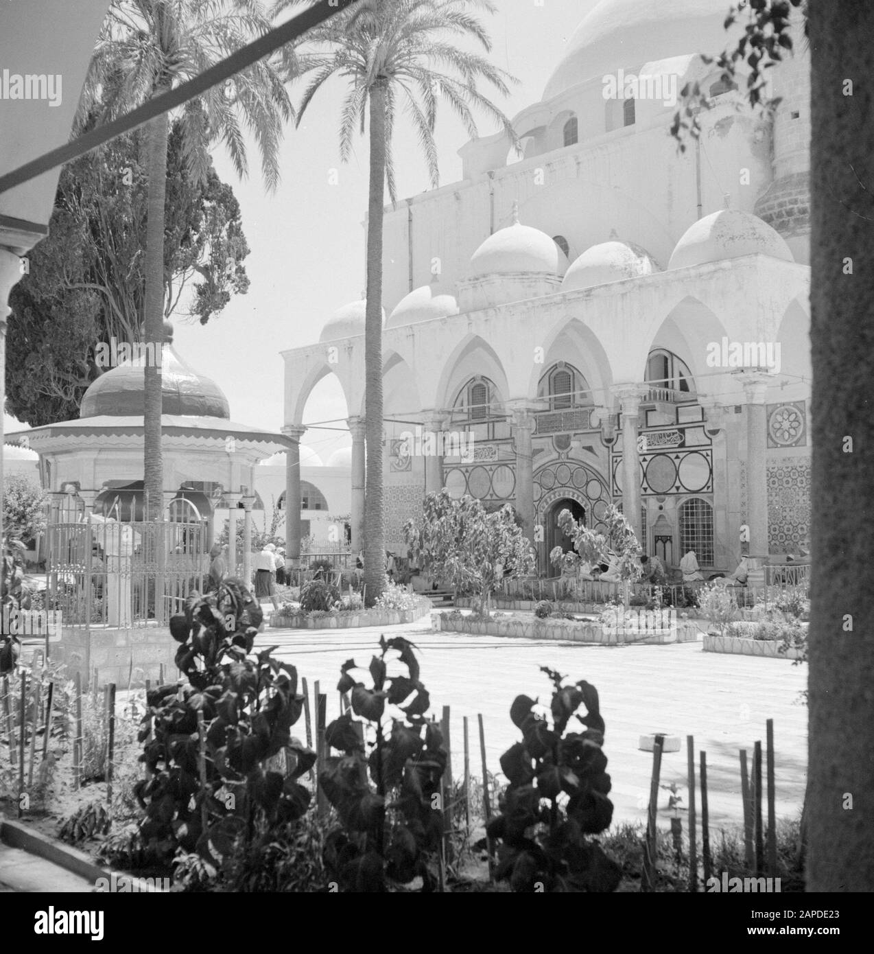 Israele 1964-1965: Akko (Acre), Moschea El Jezzar Descrizione: Akko. Moschea di El Jezzar: Parte d'ingresso con incrementi di marmo e parte del piazzale con un chiosco sulla sinistra con una fonte di lavaggi rituali o shadirvan Annotazione: La Moschea di El Jezzar (conosciuta anche come la moschea bianca), si trova nella città vecchia di Akko ed è chiamata dopo il governatore bosniaco ottomano Ahmed al-Jezzar (il macellaio) Pasha Data: 1964 luogo: Acro, Israele Parole Chiave: Architettura, Islam, chioschi, cupole, moschee, pietra naturale, palme, pilastri, rituali, sculture di strada, lavanderia Foto Stock