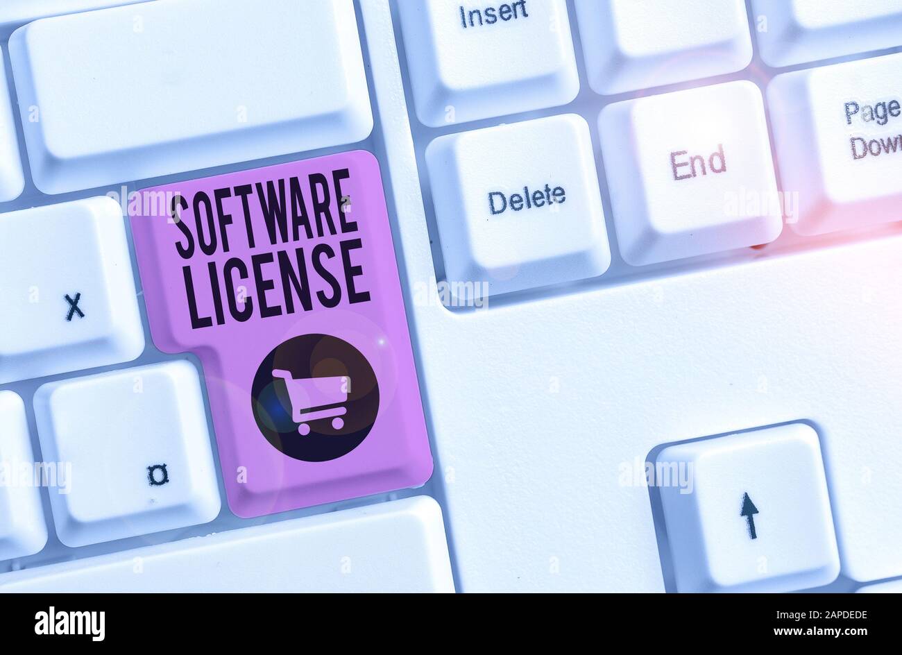 Licenza software per scrittura di testi. Fotografia aziendale che mostra lo strumento legale che regola la ridistribuzione del software Foto Stock