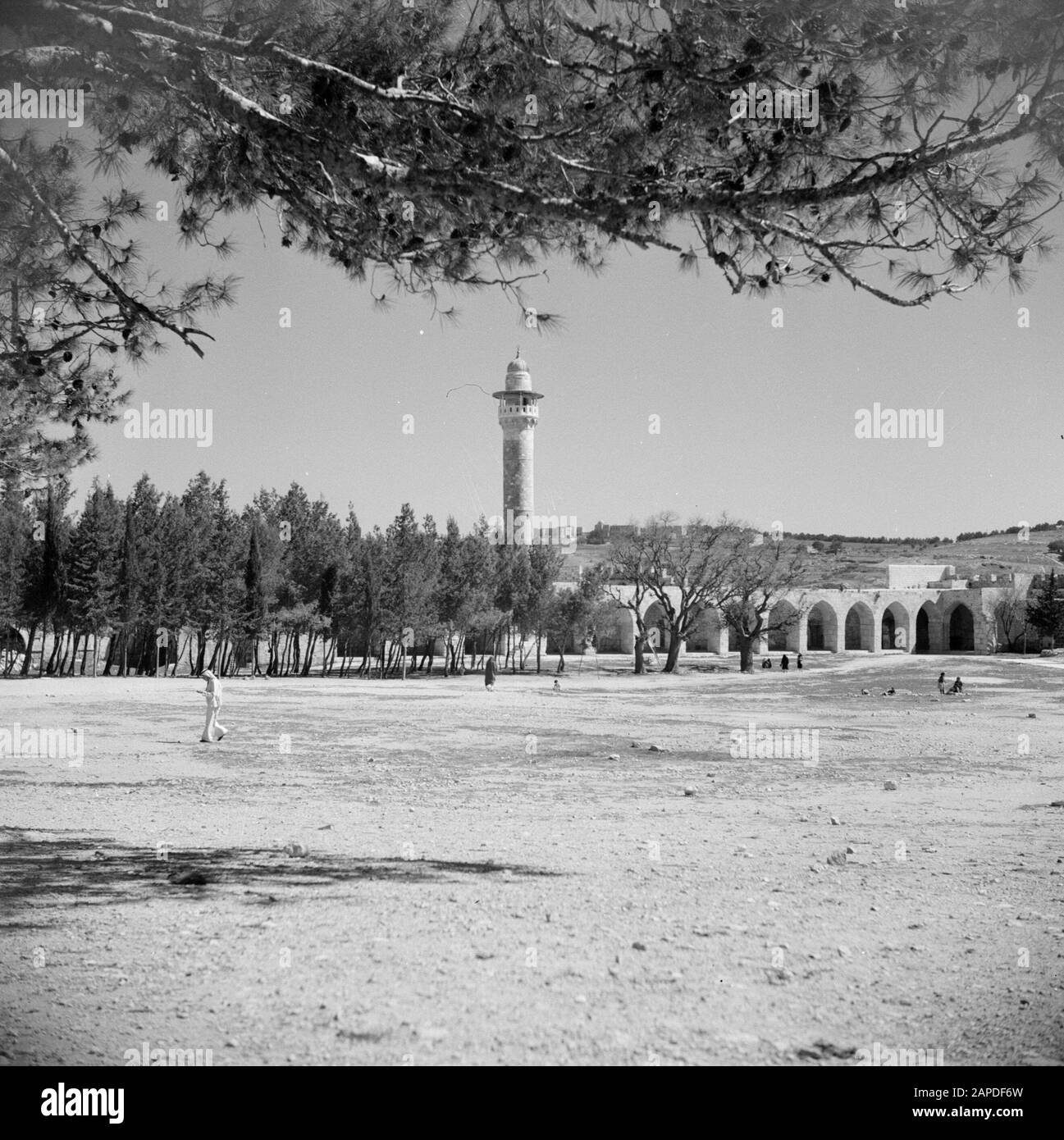 Medio Oriente 1950-1955: Gerusalemme Descrizione: Al Haram esh-sharif - Monte del Tempio e minareto Annotazione: Al momento della registrazione questo luogo era in Giordania Data: 1950 luogo: Palestina, Gerusalemme, Giordania Parole Chiave: Architettura, Islam, minareti, moschee, mura, piazze Foto Stock
