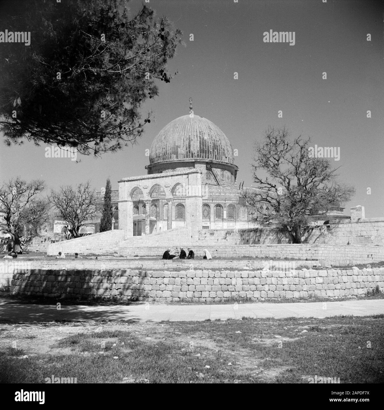 Medio Oriente 1950-1955: Gerusalemme Descrizione: Al Haram Esh-Sharif - Monte Del Tempio. Rock Dome o Qubbet es-Sakhra con porta che dà accesso alla piazza su cui è costruito il santuario Annotazione: Al momento della registrazione questo luogo è stato in Giordania Data: 1950 posizione: Palestina, Gerusalemme, Giordania Parole Chiave: Architettura, alberi, santuari, islam, cupole, squadree, porti Foto Stock