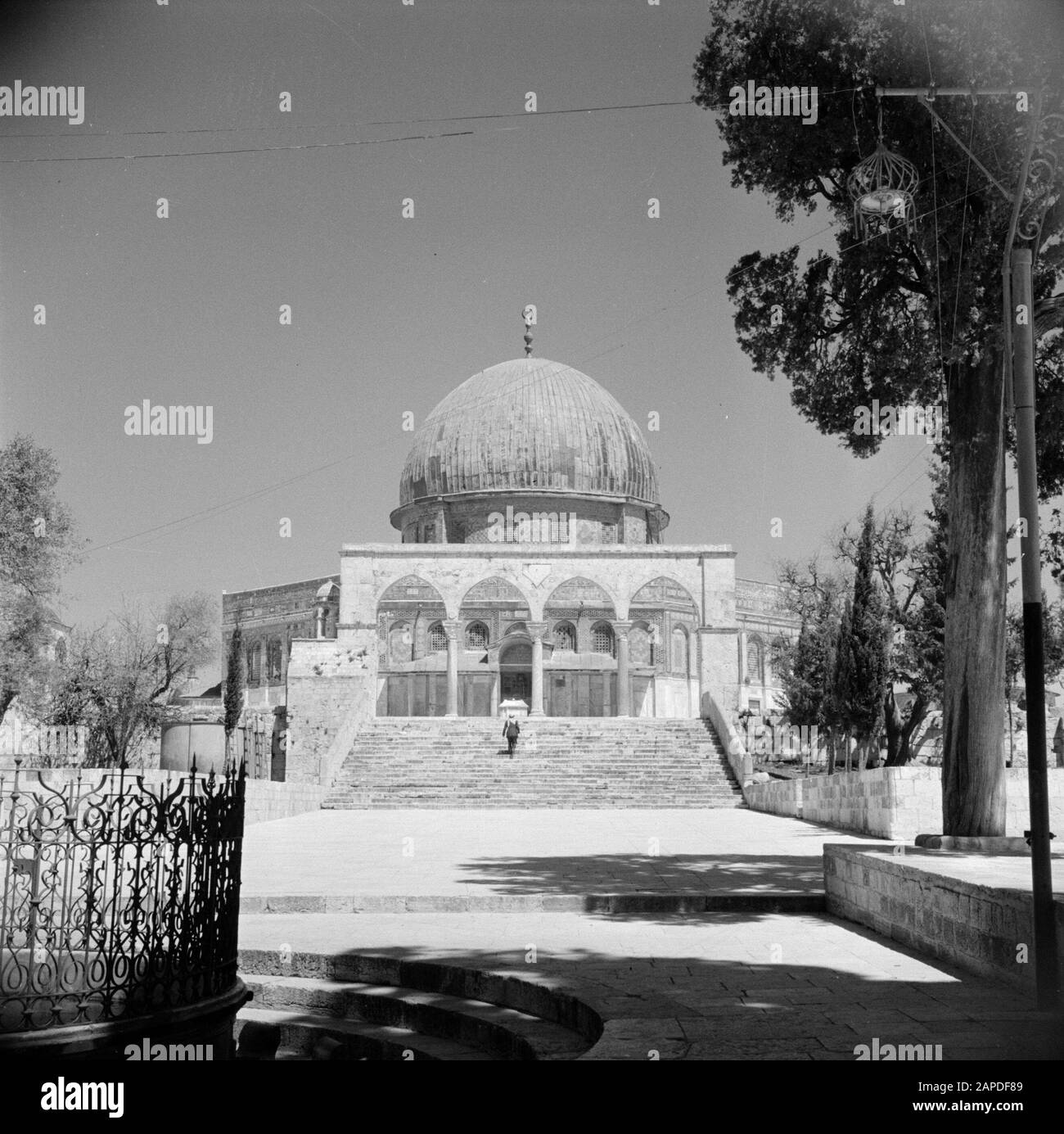 Medio Oriente 1950-1955: Gerusalemme Descrizione: Al Haram Esh-Sharif - Monte Del Tempio. Rock Dome o Qubbet es-Sakhra con porta che dà accesso alla piazza su cui è costruito il santuario Annotazione: Al momento della registrazione questo luogo è stato in Giordania Data: 1950 posizione: Palestina, Gerusalemme, Giordania Parole Chiave: Architettura, alberi, santuari, Islam, cupole, squadree, porte, scale Foto Stock
