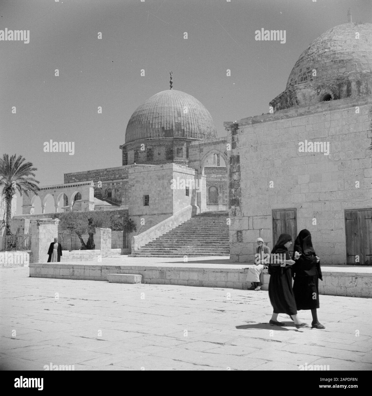 Medio Oriente 1950-1955: Gerusalemme Descrizione: Al Haram Esh-Sharif - Monte Del Tempio. Rock Dome o Qubbet es-Sakhra con porta che dà accesso alla piazza su cui è costruito il santuario Annotazione: Al momento della registrazione questo luogo è stato in Giordania Data: 1950 posizione: Palestina, Gerusalemme, Giordania Parole Chiave: Architettura, alberi, santuari, Islam, cupole, squadree, porte, scale Foto Stock