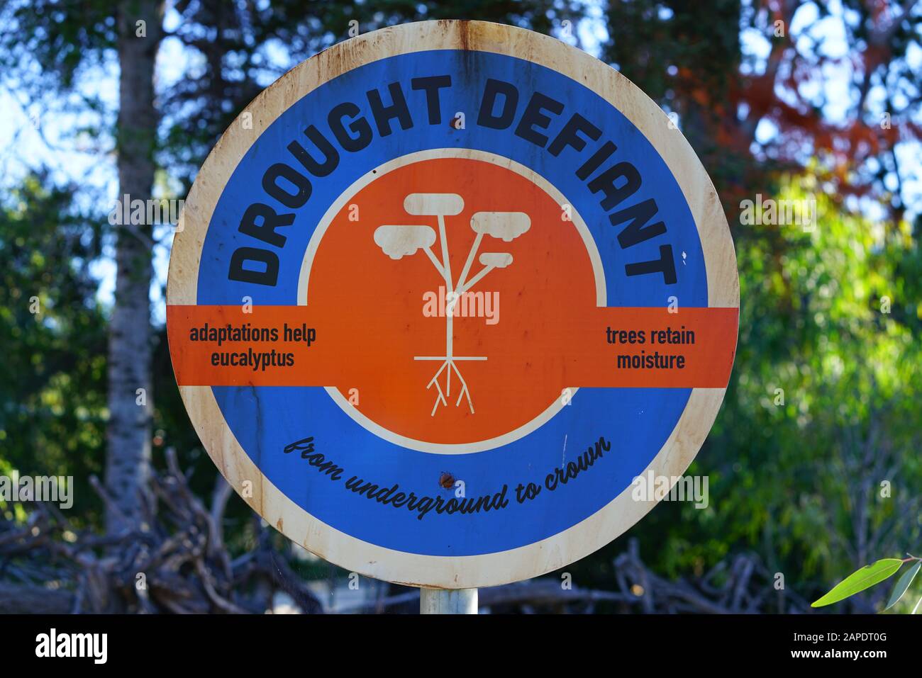 San DIEGO, CA -4 JAN 2020 - Vista del San Diego Zoo Safari Park (ex San Diego Wild Animal Park) situato nella Valle di San Pasqual a San Diego, Foto Stock