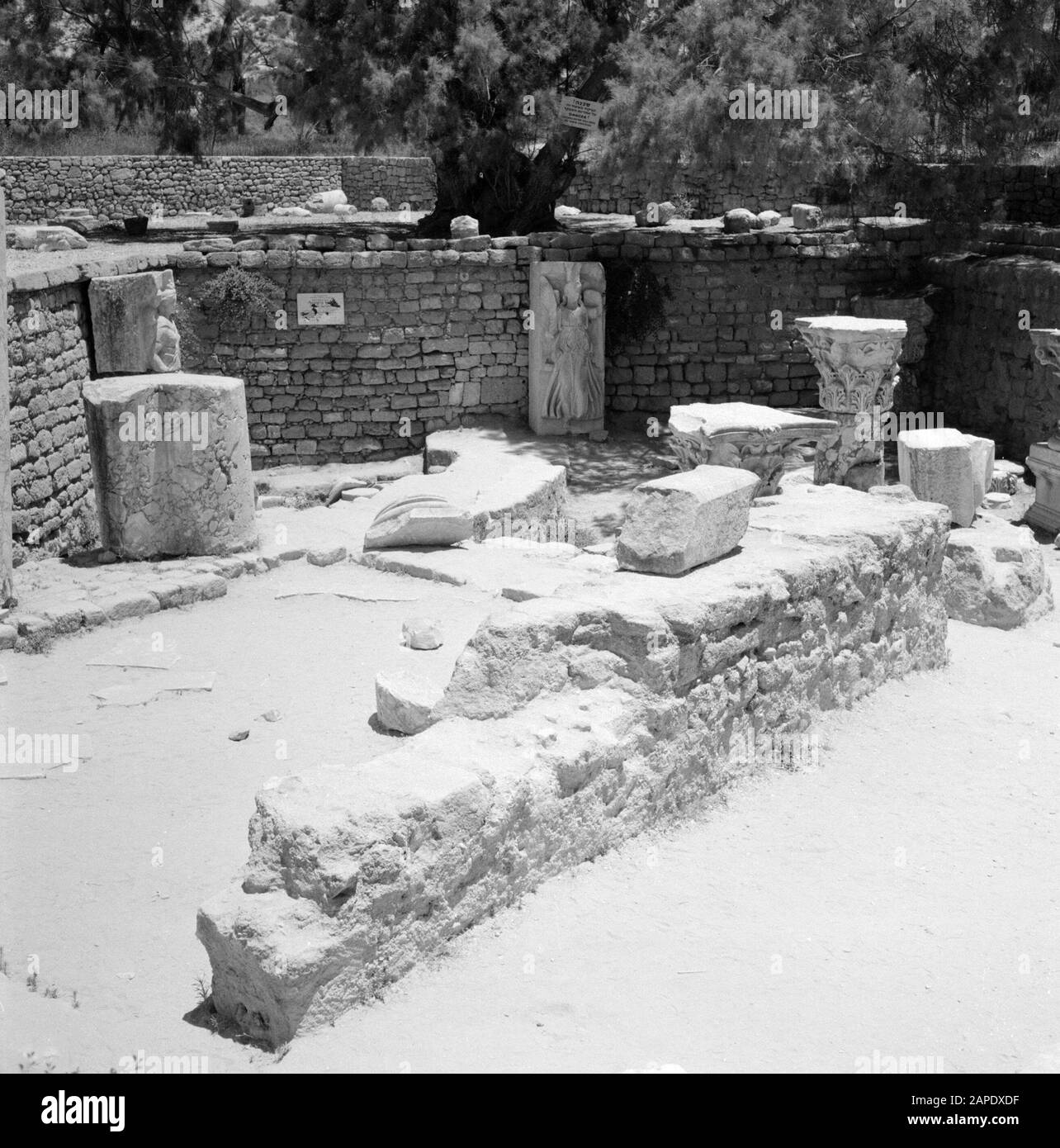 Israele 1964-1965: Ashkelon, archeologia Descrizione: Sito archeologico con frammenti di costruzione Annotazione: Ashkelon è una località balneare nel sud-ovest di Israele, situata nel Mediterraneo Data: 1964 Località: Ashkelon, Israele Parole Chiave: Archeologia, sculture, mitologia, pilastri, arte religiosa, rovine Foto Stock