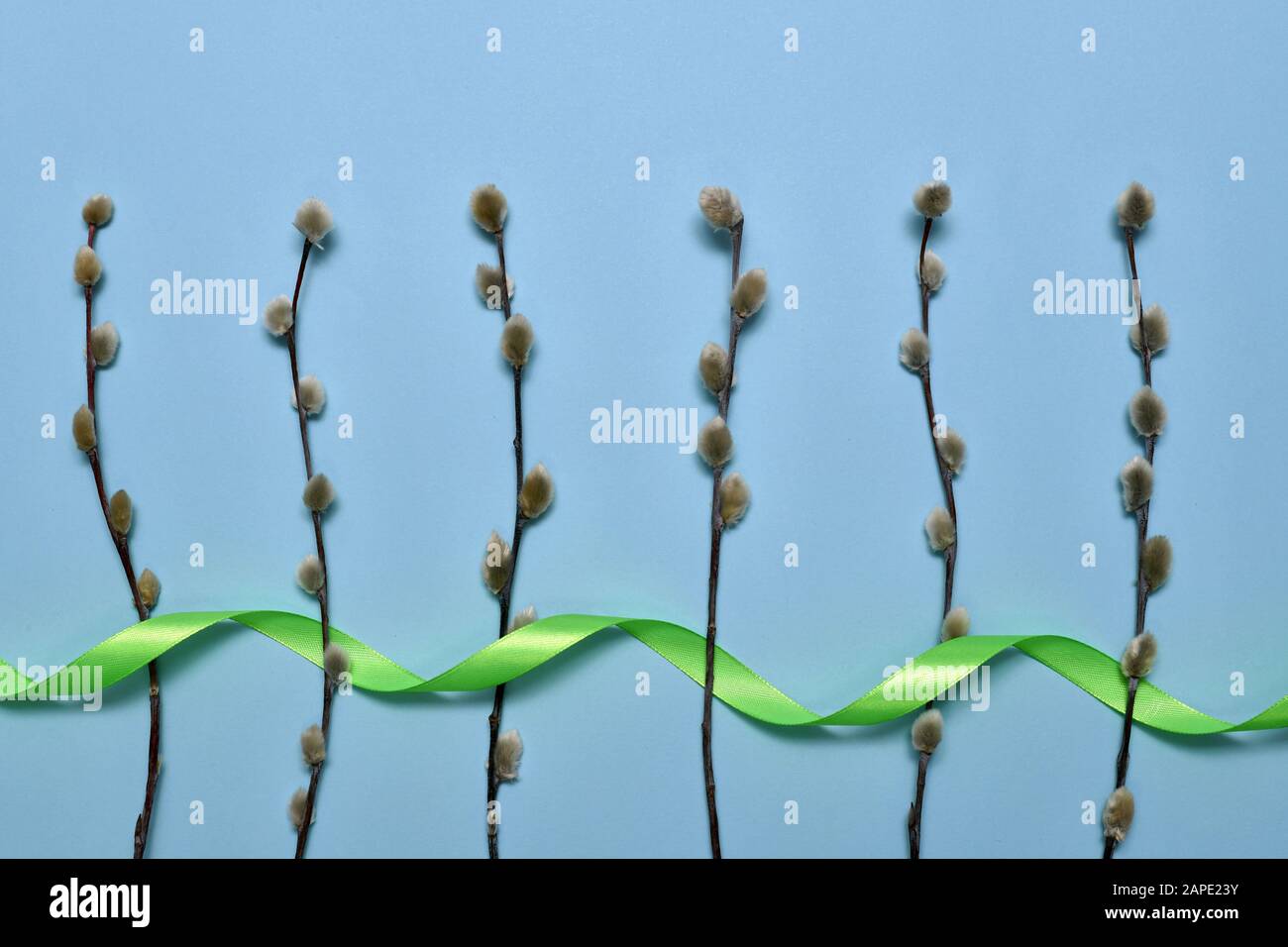 I carri di perforazione verve sono disposti verticalmente sul fondo e decorati con nastro di raso verde. Foto Stock