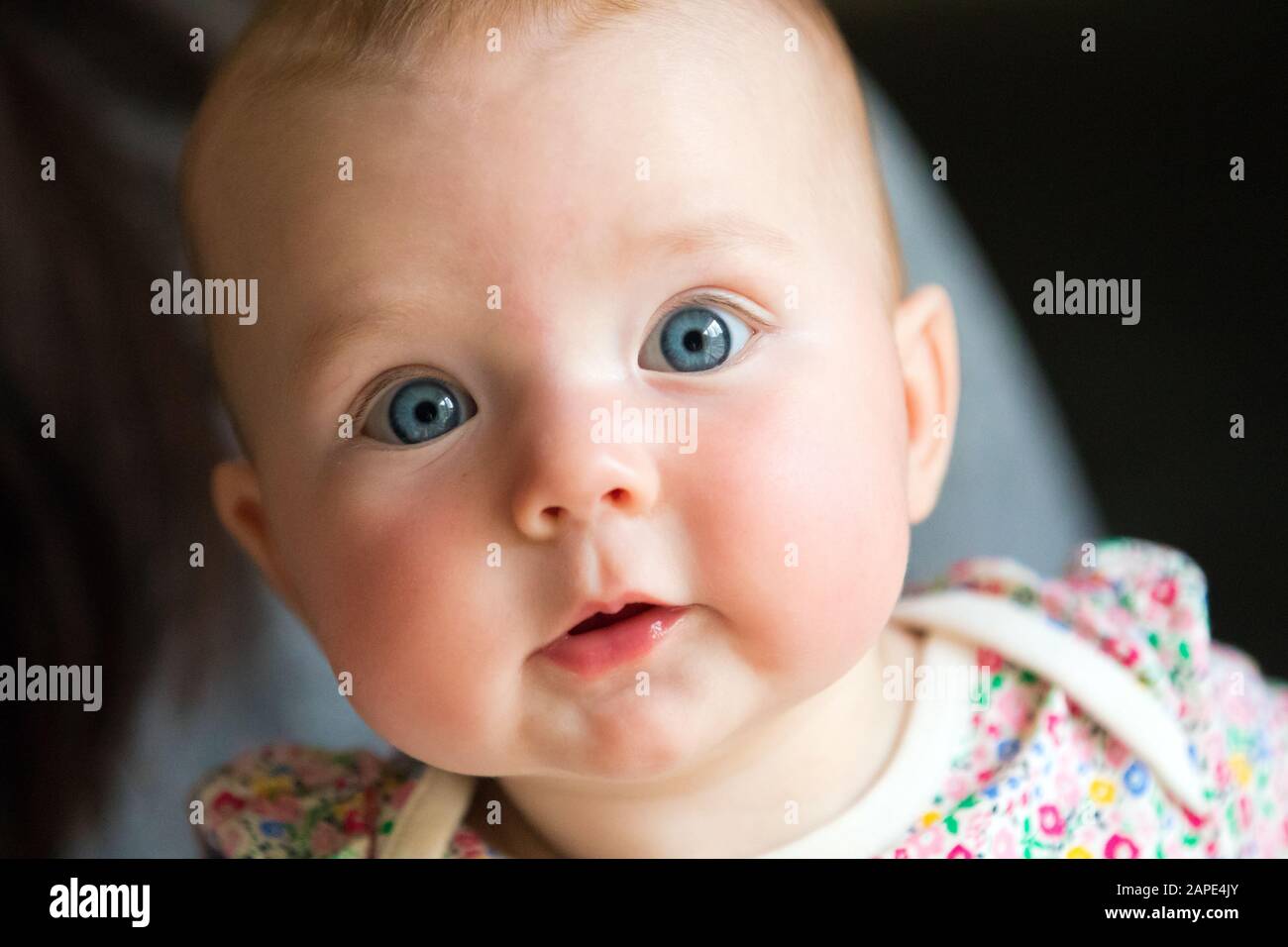 Isolato primo piano colpo di testa di un bambino femmina di 4 1/2 mese. Foto Stock