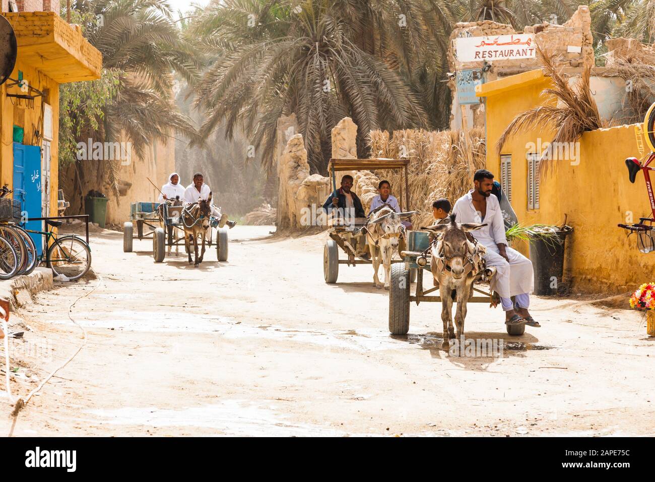 Siwa Oasis, carretti d'asino sulla strada principale del centro, Siwa, governatorato di Marsa Matrouh, Egitto, Nord Africa, Africa Foto Stock