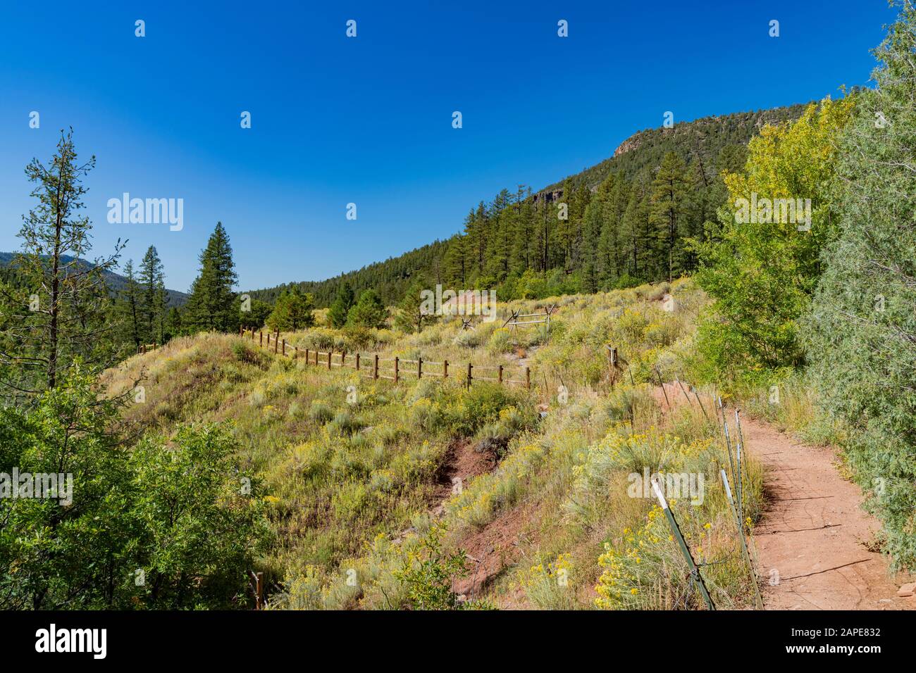 Vista mattutina della splendida zona Della Caldera di Valles nel New Mexico Foto Stock