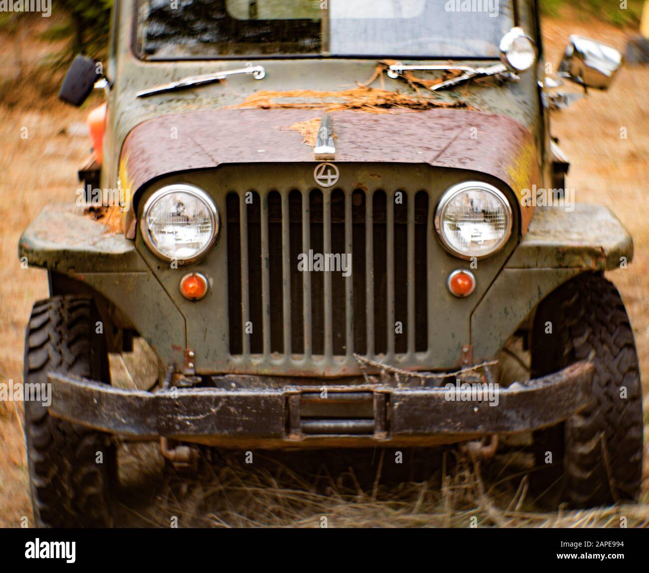 La griglia di un camion di jeep di Willys 1948 in un'area boscosa vicino Noxon, Montana. Questa immagine è stata scattata con una lente Petzval antica, non rivestita, e può mostrare Foto Stock