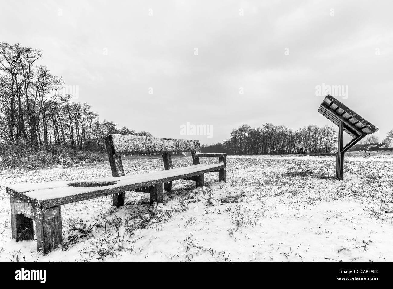 Scala di grigi di panche su un campo coperto di neve sotto un cielo nuvoloso Foto Stock