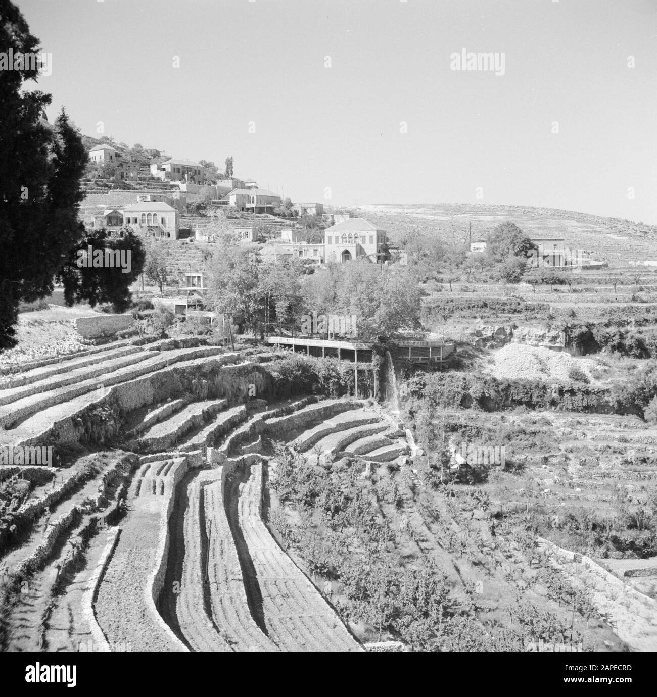 Medio Oriente 1950-1955: Libano Descrizione: Beït E Cena con i pendii circostanti e terrazze Data: 1950 luogo: Libano, Tripoli Parole Chiave: Villaggi, panorama, terrazze Foto Stock