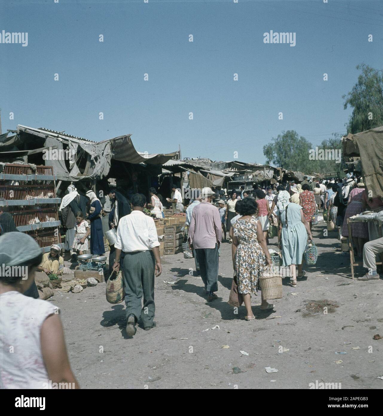 Bersjeba. Tabella di mercato: Bancarelle di mercato con un tetto provvisorio fatto di telone e fogli ondulati con commercianti di mercato e clienti. Gabbie di sinistra piene di pollame e nel mezzo casse con verdure Data: 1960 luogo: Bersheba, Israele Parole Chiave: Verdure, commercio, clienti, mercati, bancarelle di mercato, pollame Foto Stock