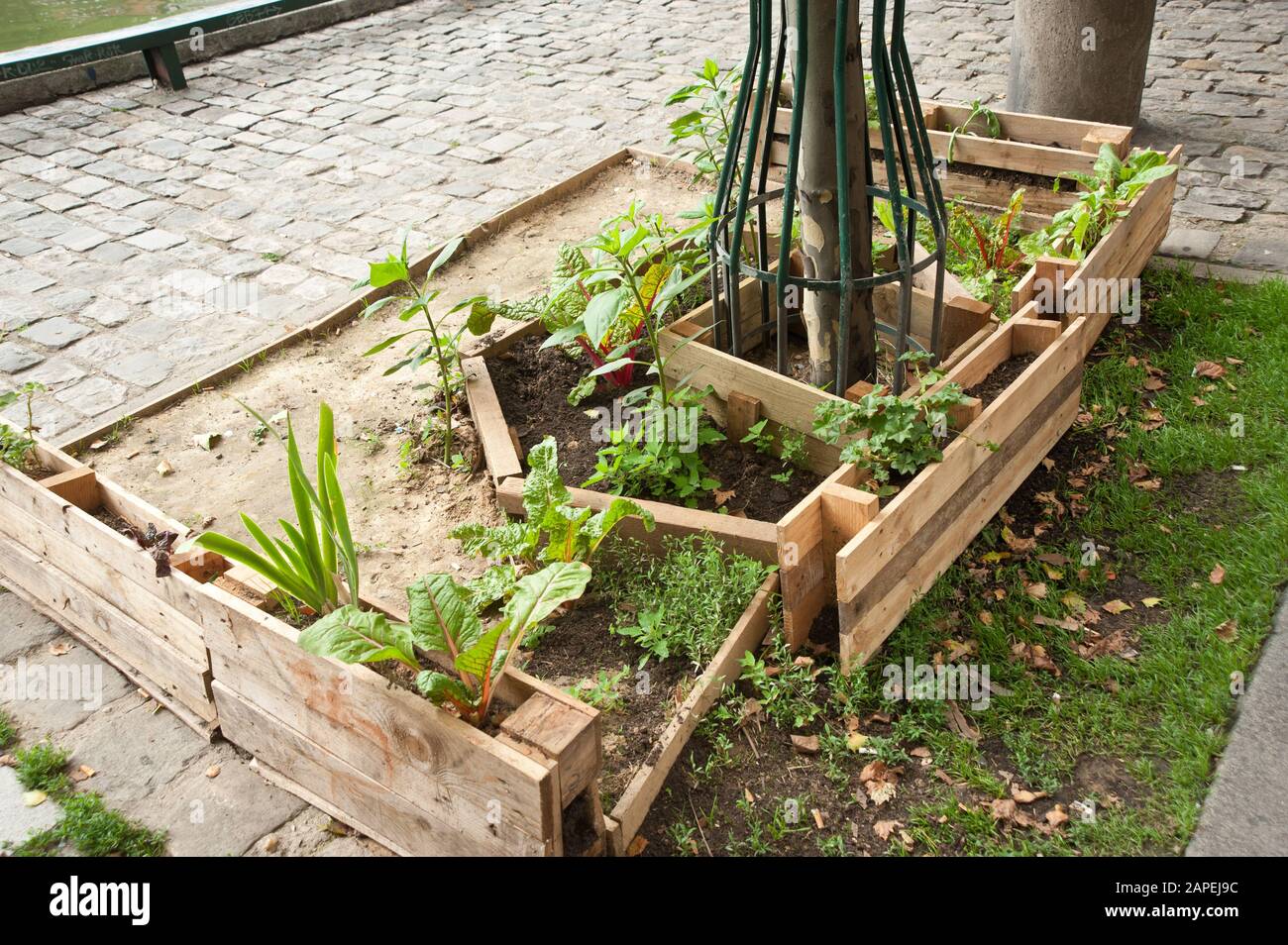 Guerrilla Gardening, giardinaggio urbano Foto Stock