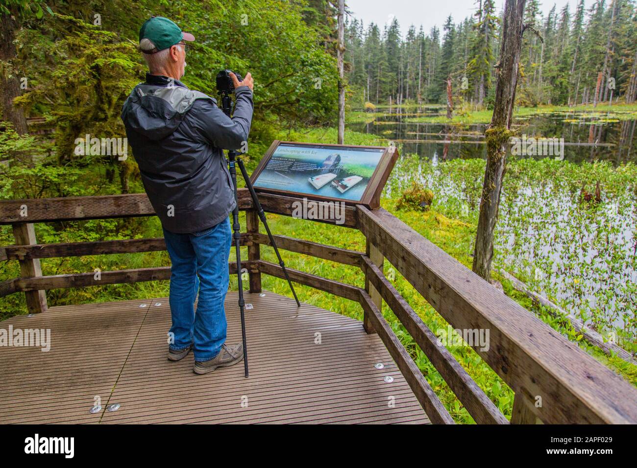Un fotografo allinea il suo colpo su un treppiede di fronte ad un piccolo stagno spesso con gigli stagno e fiancheggiato da una foresta di alberi. Foto Stock