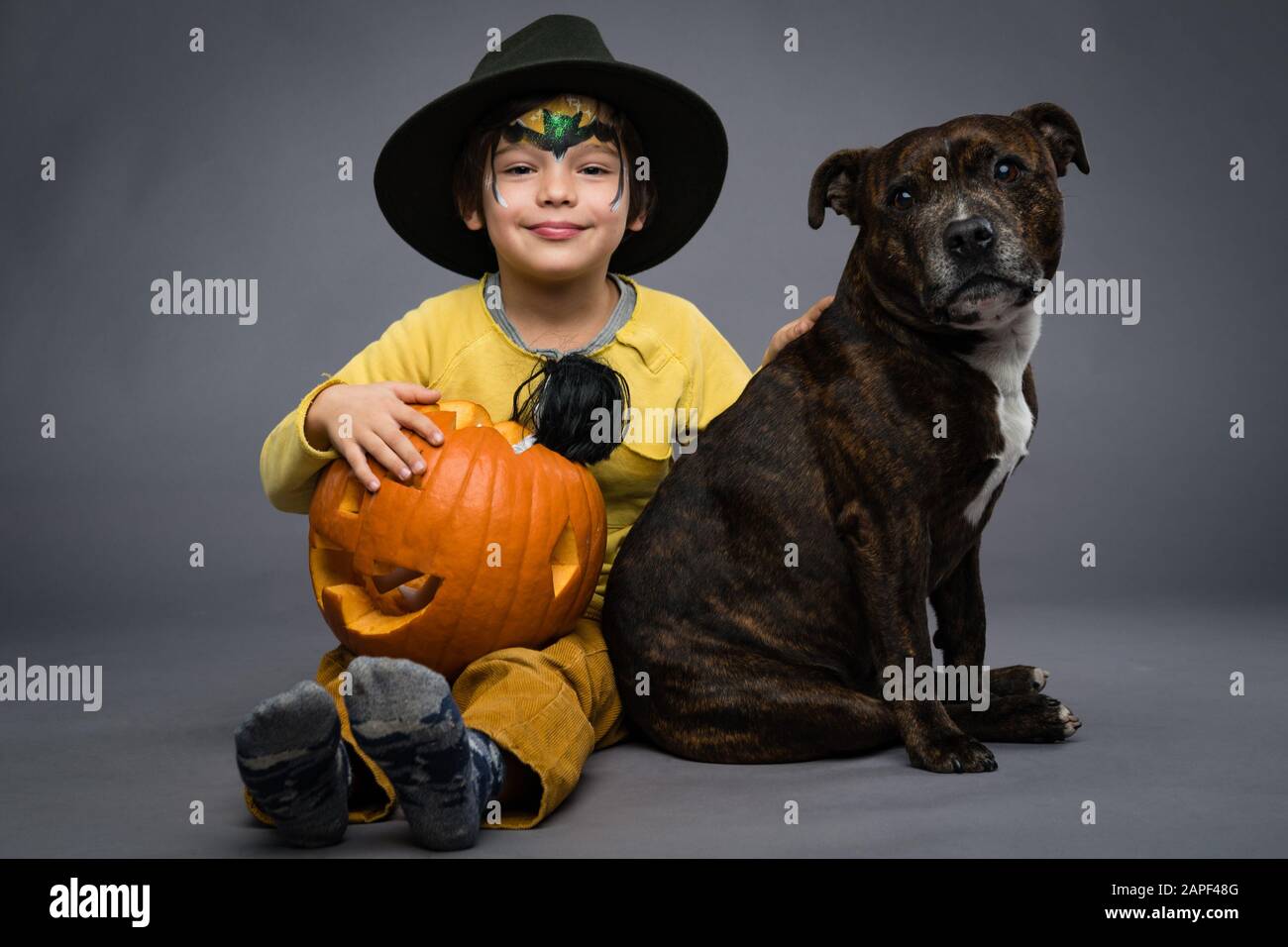 Allegro ragazzino in un cappello tiene una zucca con una bambola spaventosa, il cane si siede accanto a lui, su uno sfondo grigio. Festa di Halloween Foto Stock