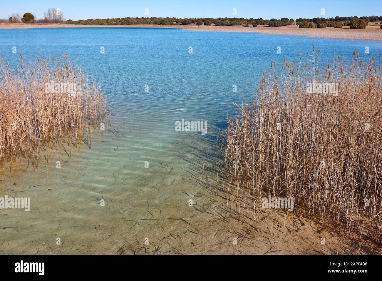 Zone umide in Spagna. Lagunas del Ruidera. Albacete Ciudad Real Paesaggio Foto Stock