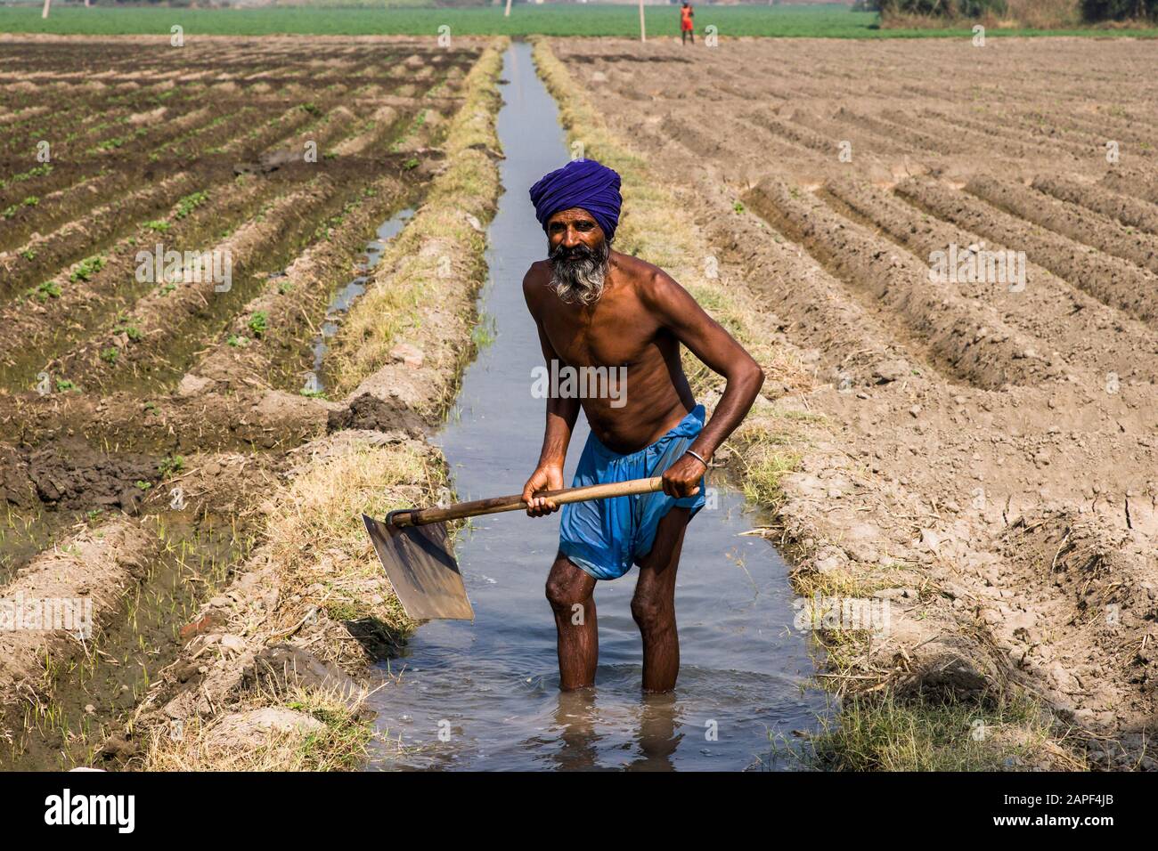 Riparazione del canale di irrigazione agricolo, campi Agricaltural di Punjab, vicino Amritsar, india, Asia meridionale, Asia Foto Stock