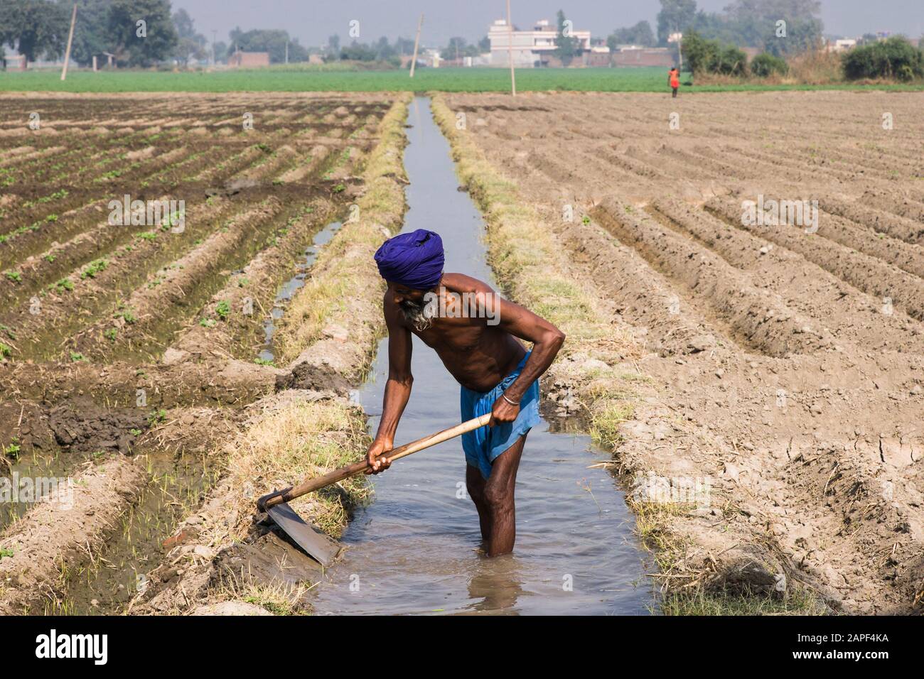 Riparazione del canale di irrigazione agricolo, campi Agricaltural di Punjab, vicino Amritsar, india, Asia meridionale, Asia Foto Stock