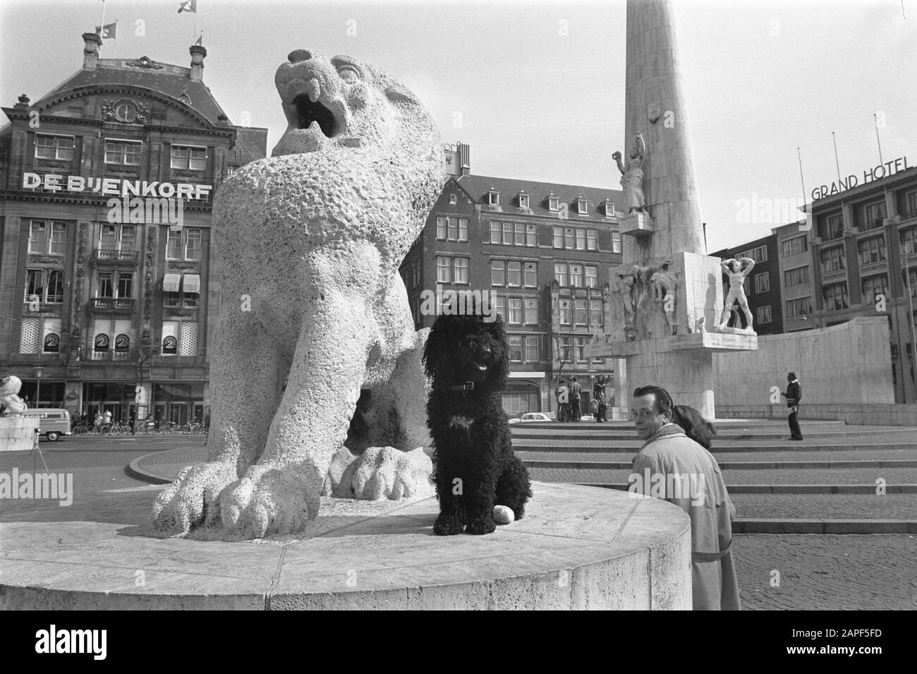 Segnali sul Monumento Nazionale su Dam A'dam contro seduta e così via sul Monumento. Cane accanto al leone Data: 9 aprile 1970 luogo: Amsterdam, Noord-Holland Parole Chiave: Cani, monumenti Nome dell'istituzione: Monumento nazionale Foto Stock