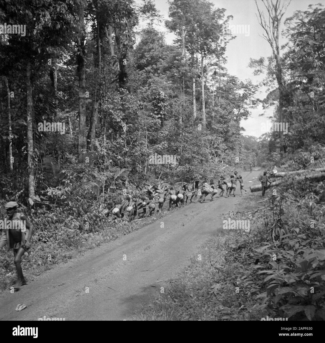 Viaggio in Suriname e Antille Olandesi Descrizione: Boslandcreoles trascinando nella zona di Marowijne gli alberi abbattuti dalla giungla Data: 1947 posizione: Marowijne, Suriname Parole Chiave: Forest Land creols, industria del legno, giungle Foto Stock