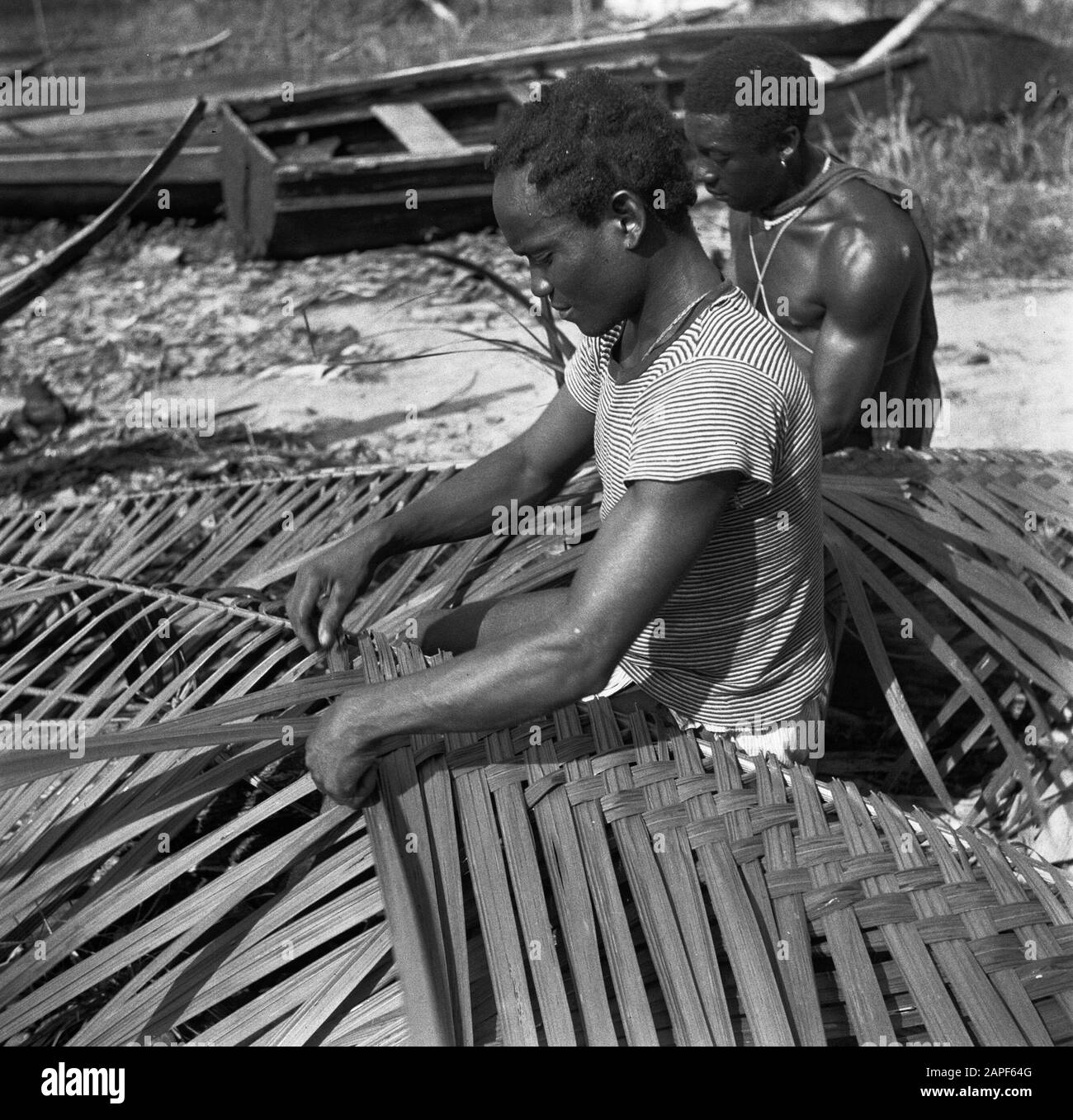 Viaggio in Suriname e Antille Olandesi Descrizione: Bossandcreole braci di foglia di palma un rifugio per la korjaal, probabilmente ad Albina Data: 1947 posizione: Albina, Marowijne, Suriname Parole Chiave: Foresta sandcreole, popolazione indigena, palme Foto Stock