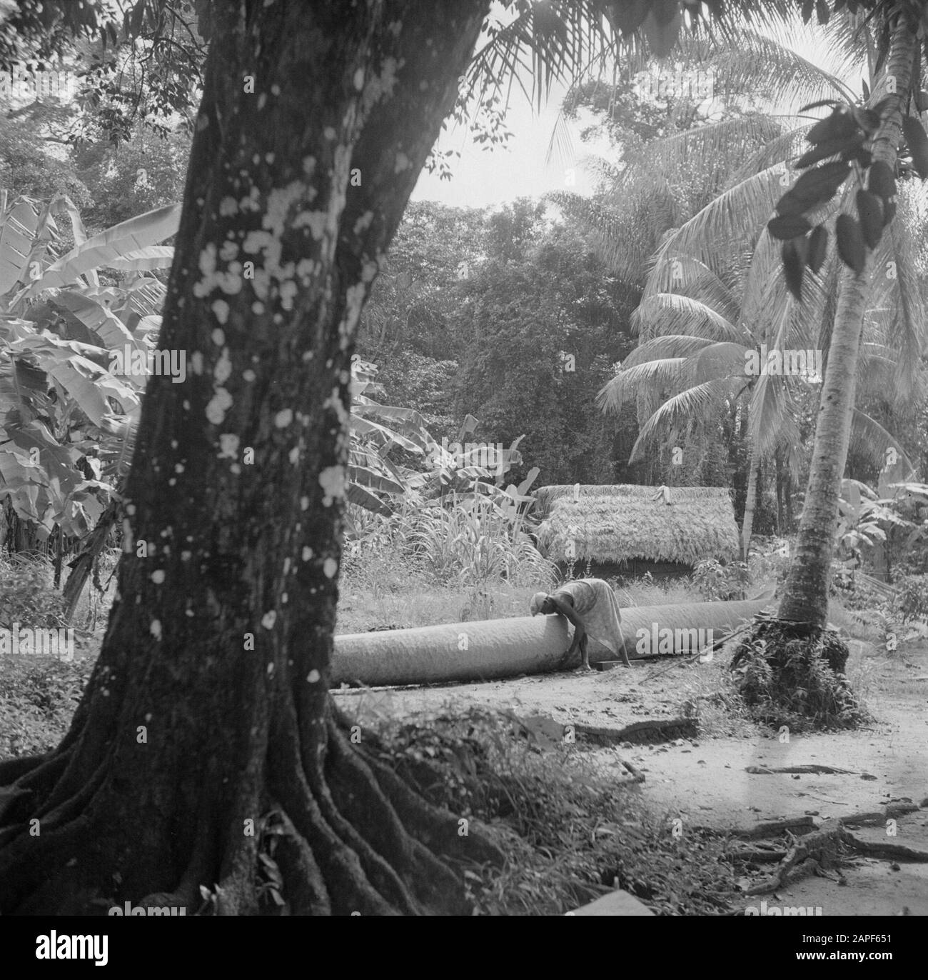 Viaggio in Suriname e Antille Olandesi Descrizione: Boslandcreool Martinus building a korjaal in Langetabbetje in Suriname Data: 1947 Ubicazione: Langatabbetje, Marowijne, Suriname Parole Chiave : creola di terra forestale, navi, case Foto Stock