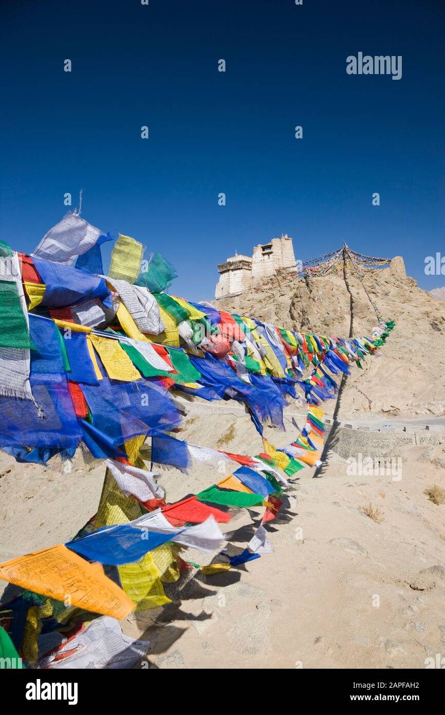 Bandiere di preghiera e Tempio di Tsemo Maitreya, anche Namgyal Tsemo Gompa, o monastero di Namgyal Tsemo, Leh, Ladakh, india, Asia meridionale, Asia Foto Stock