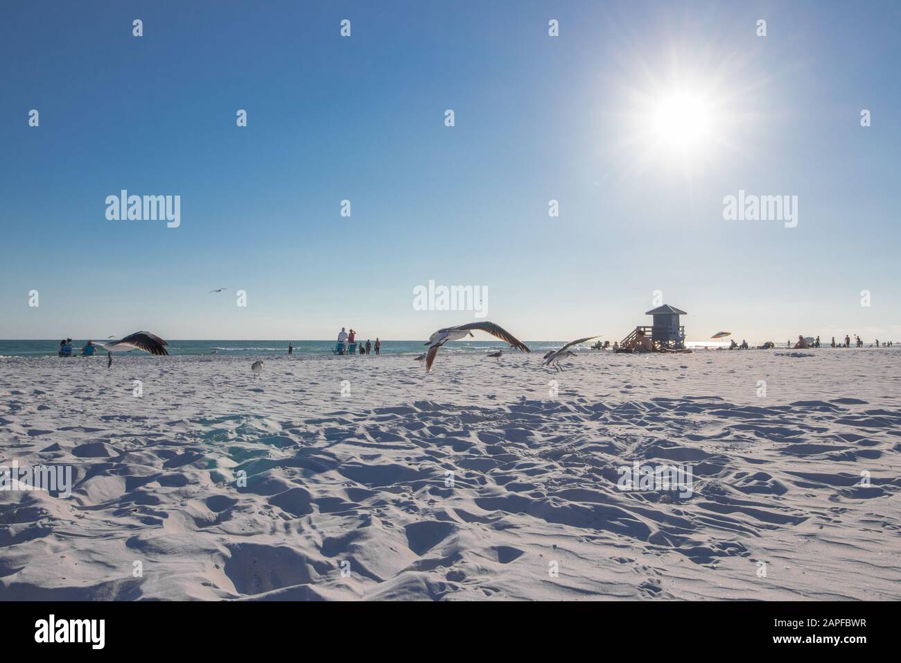 Spiaggia della Florida Foto Stock