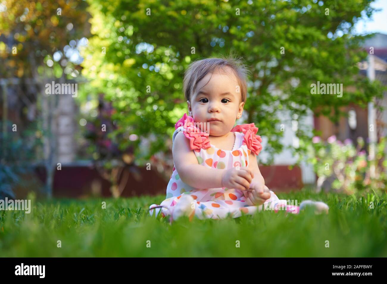 Bambina seria seduta su sfondo verde erba Foto Stock