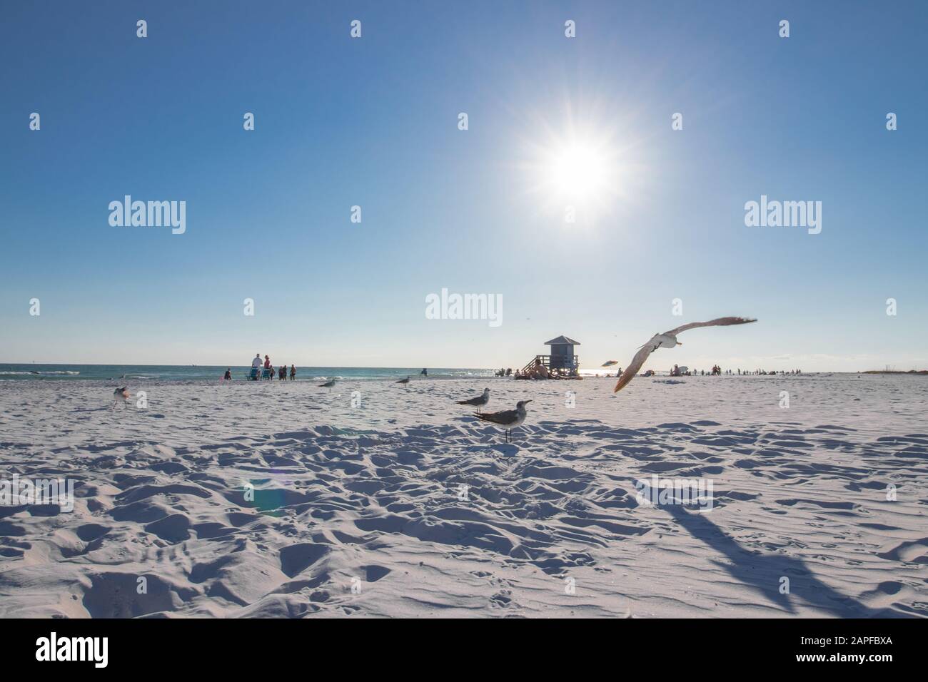 Spiaggia della Florida Foto Stock